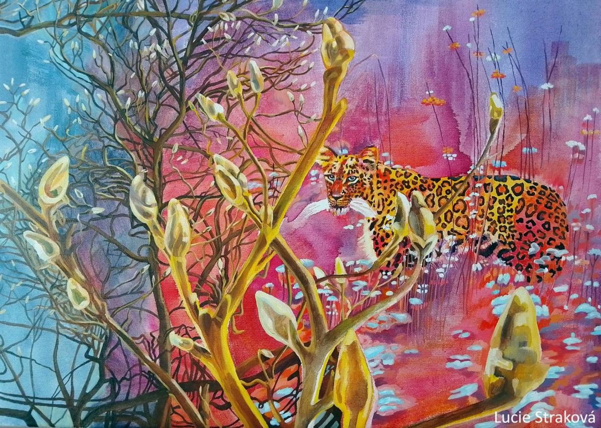 Leopard v Magnólii