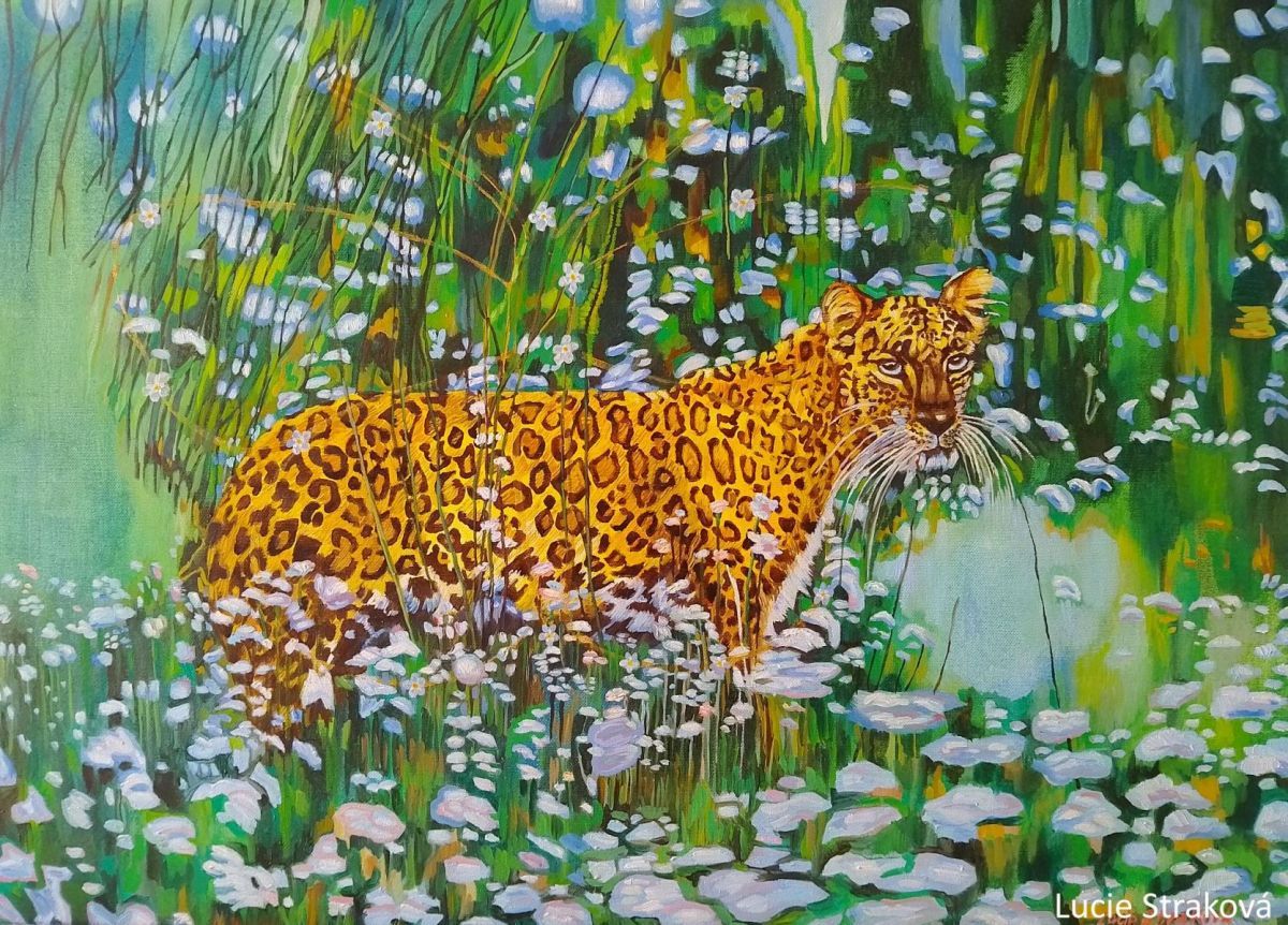 Leopard v pomněnkách
