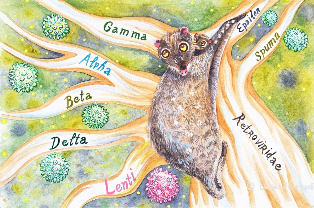 Návrh na ilustraci do vědeckého časopisu