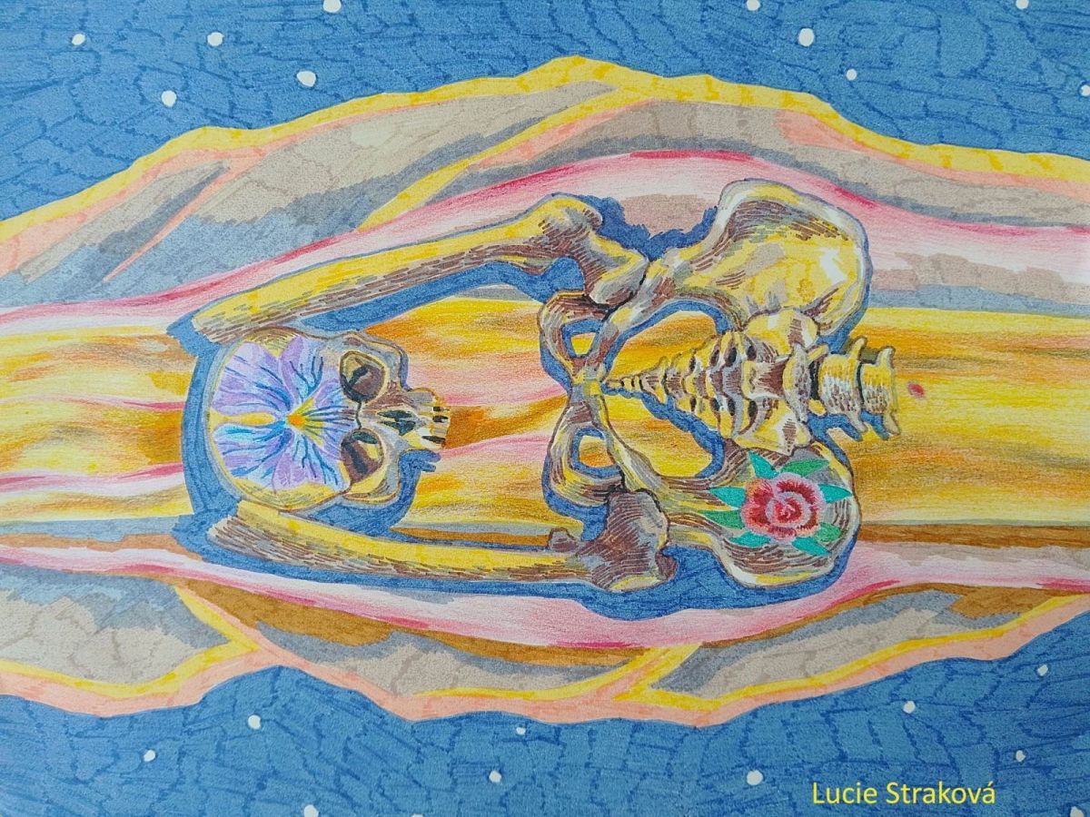 Podlouhlá krajina hor