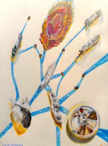 Obyčejné - neobyčejné věci